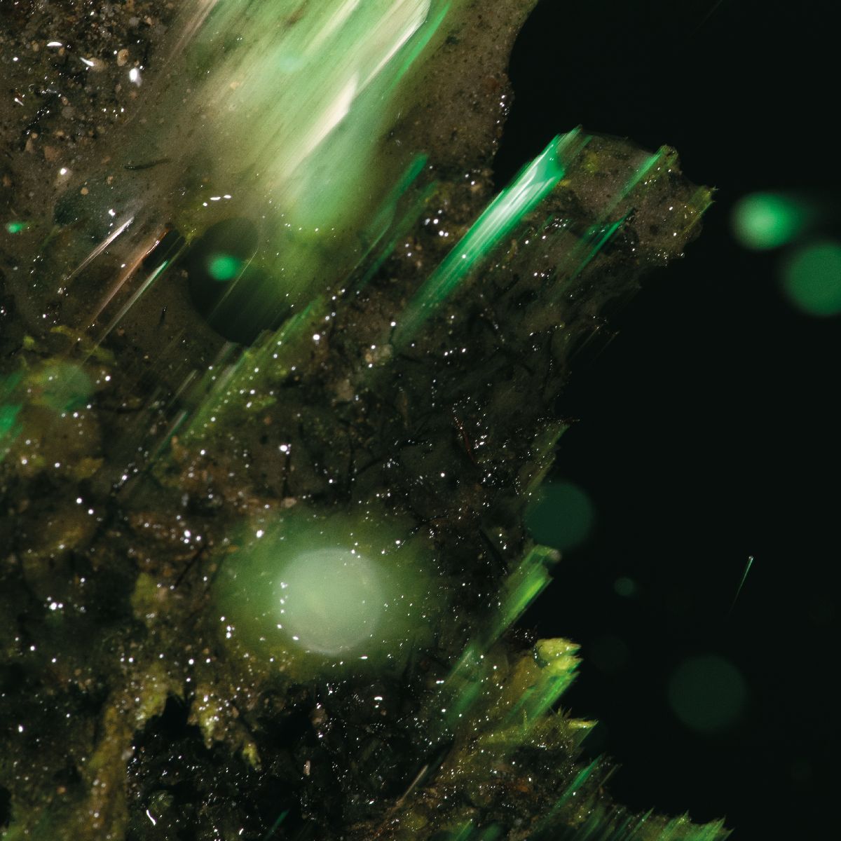 Abraham - idsungwüssä Cover