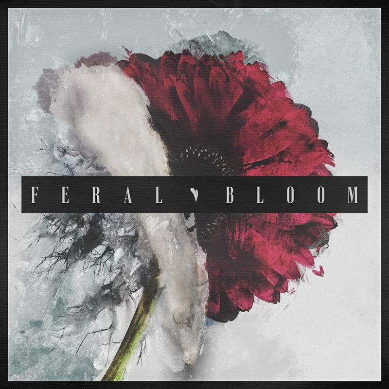 Blacktoothed - Feral Bloom Cover