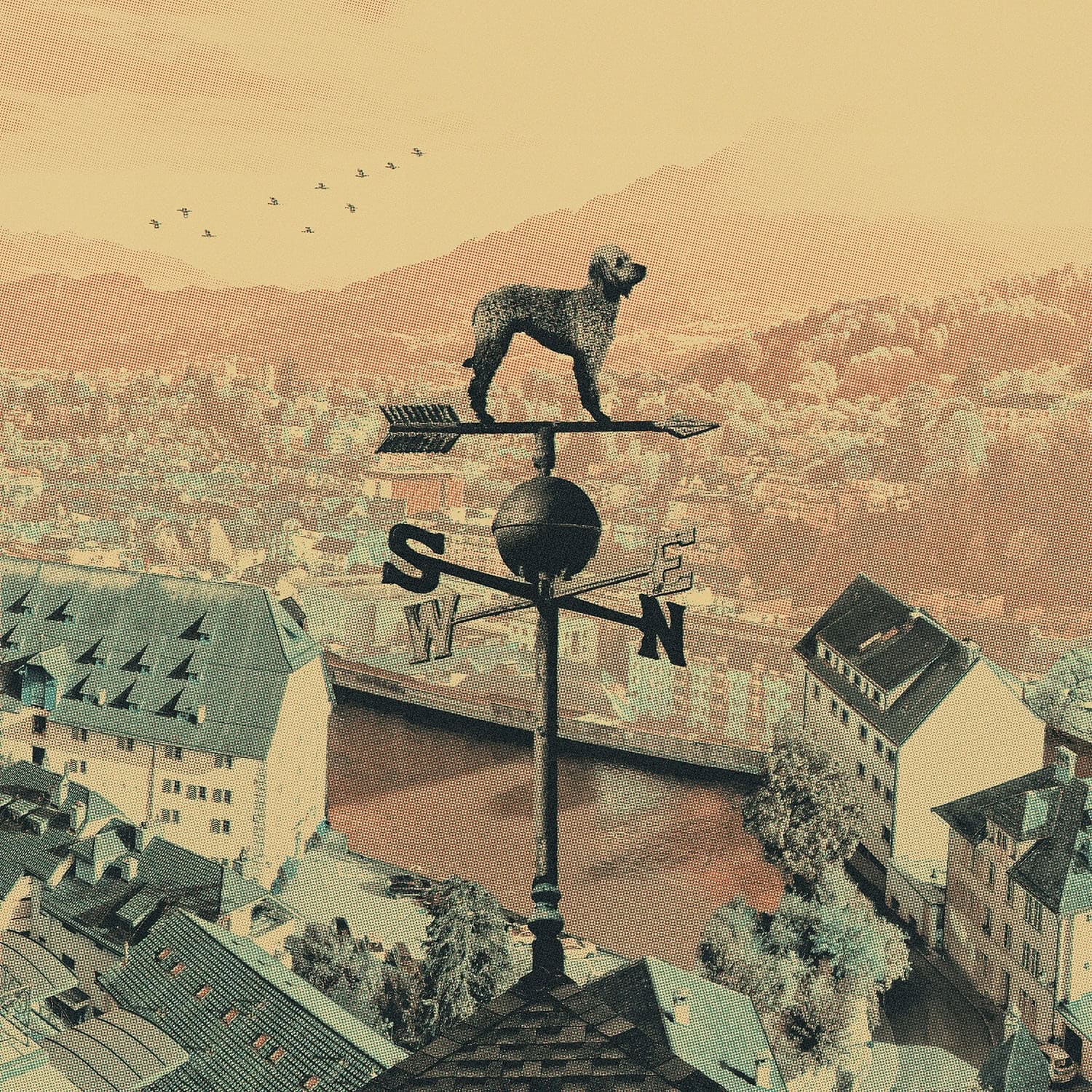 COLD COLLECTIVE zwei weitere Songs vom neuen Album "Weathervane