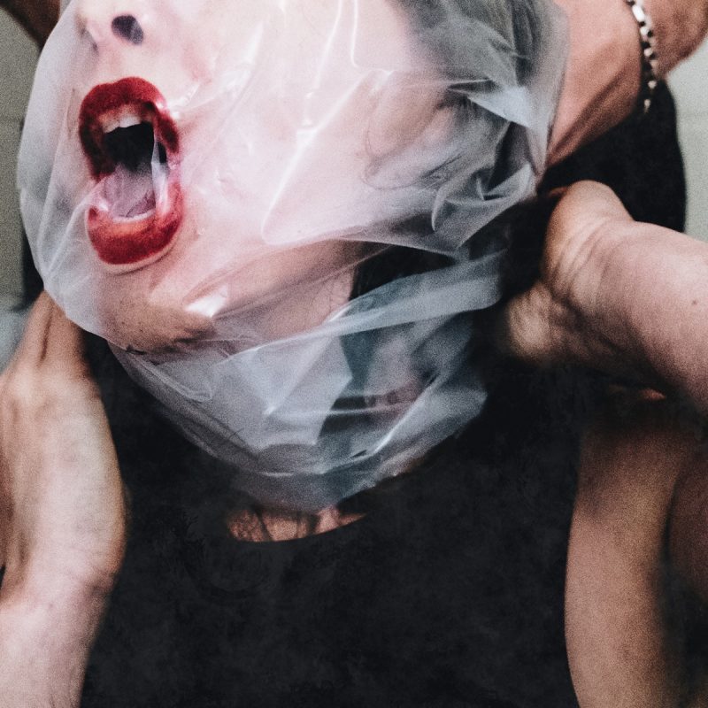 Dying Wish - Flesh Stays Together Cover