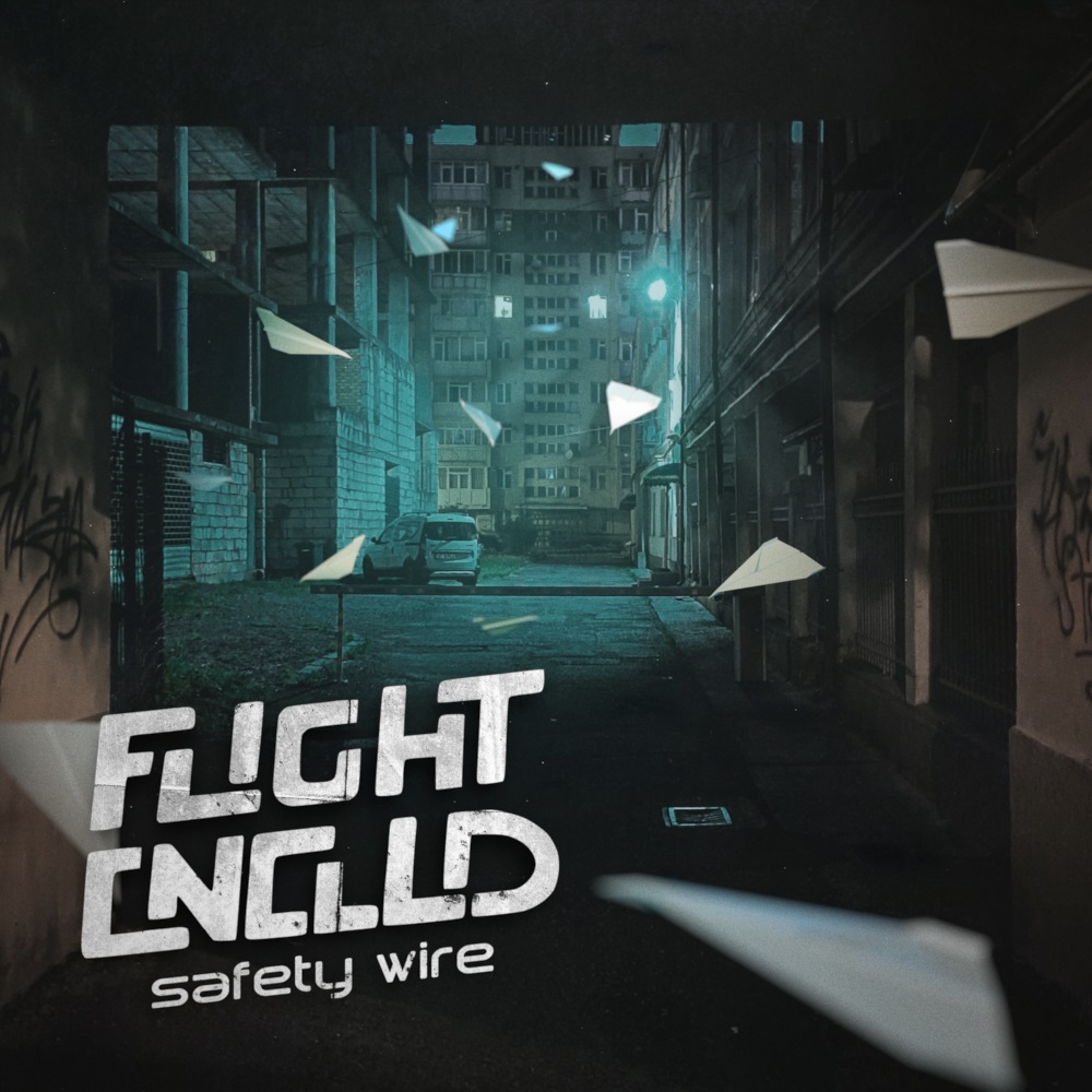 Flight Cnclld - Safety Wire Cover