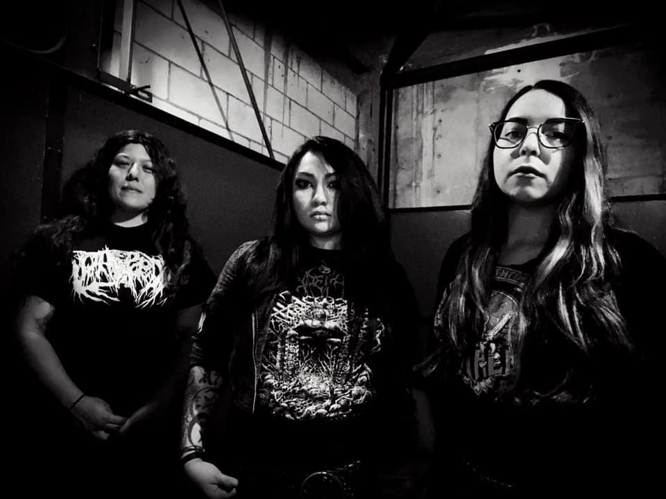 HARLEQUIN neues Death Metal Album "Origin of Suffering" aus Los