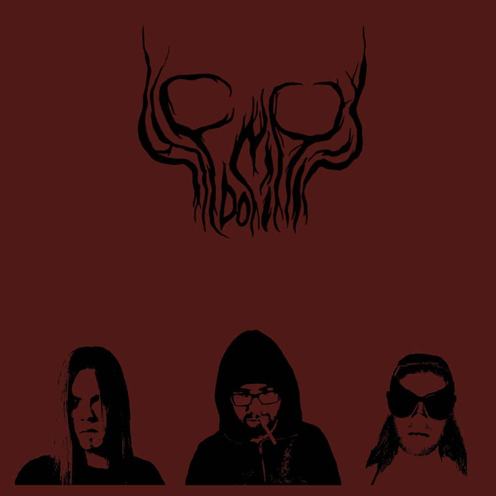 HEDONIHIL-BANDFOTO-2019-02