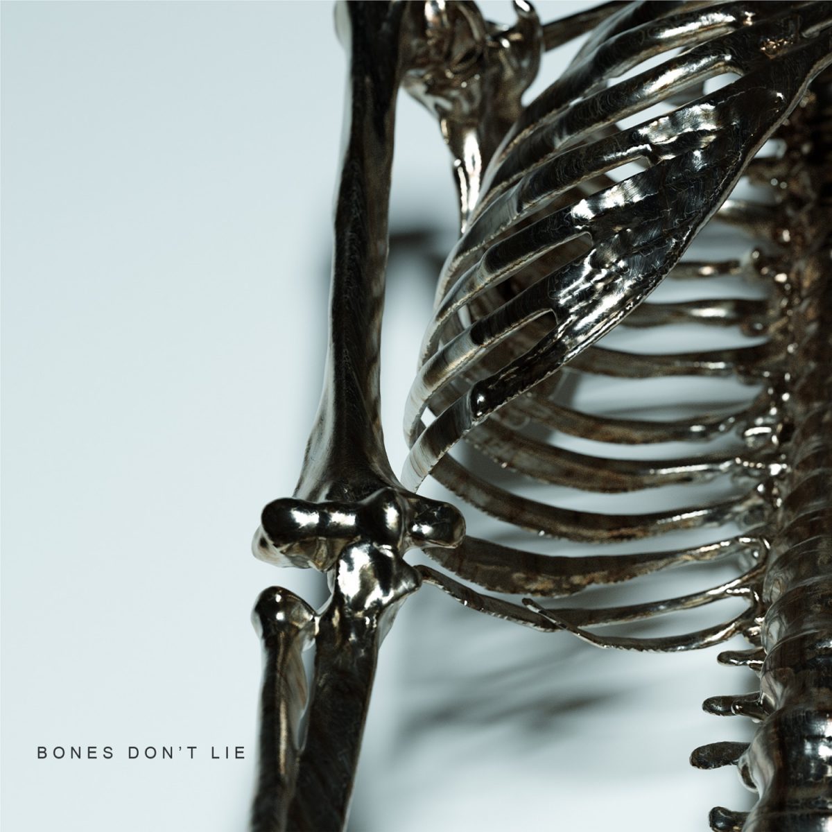 Kingsmen-Bones-Dont-Lie-1200x1200.jpg