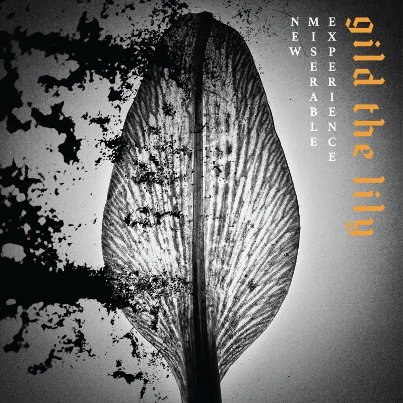 New Miserable Experience - Gild The Lily Cover