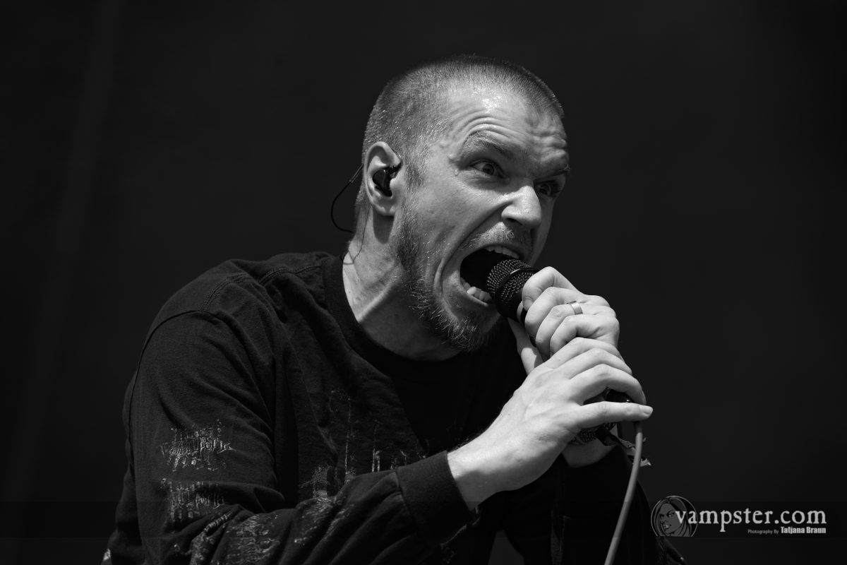 PARASITE INC. live auf dem Summer Breeze 2026