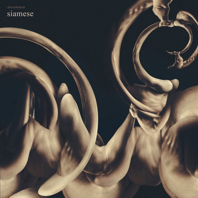 Siamese - Dissolution Cover