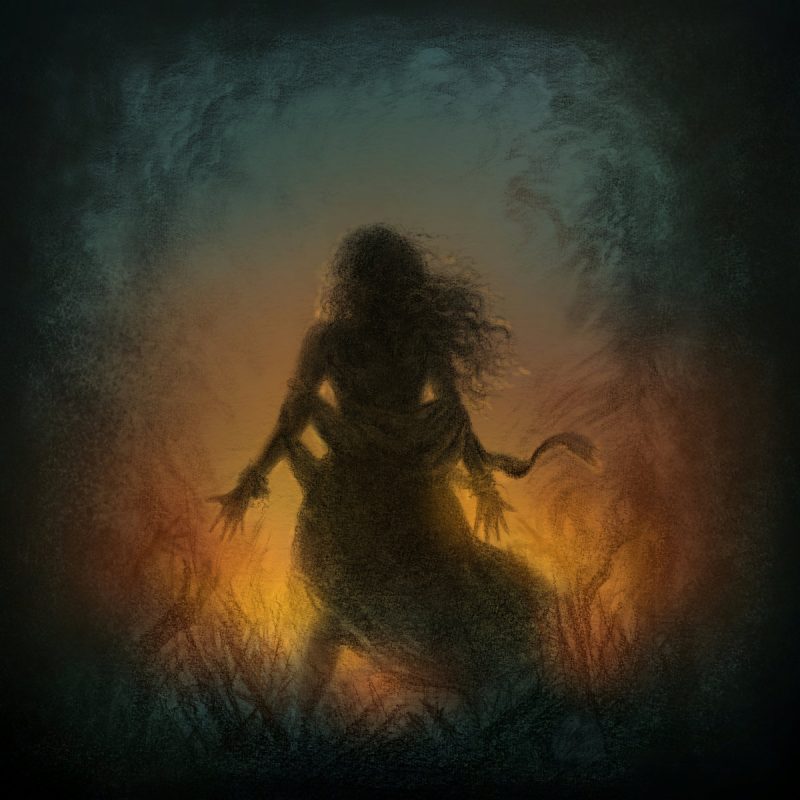 Sidewinder - Firelight Cover