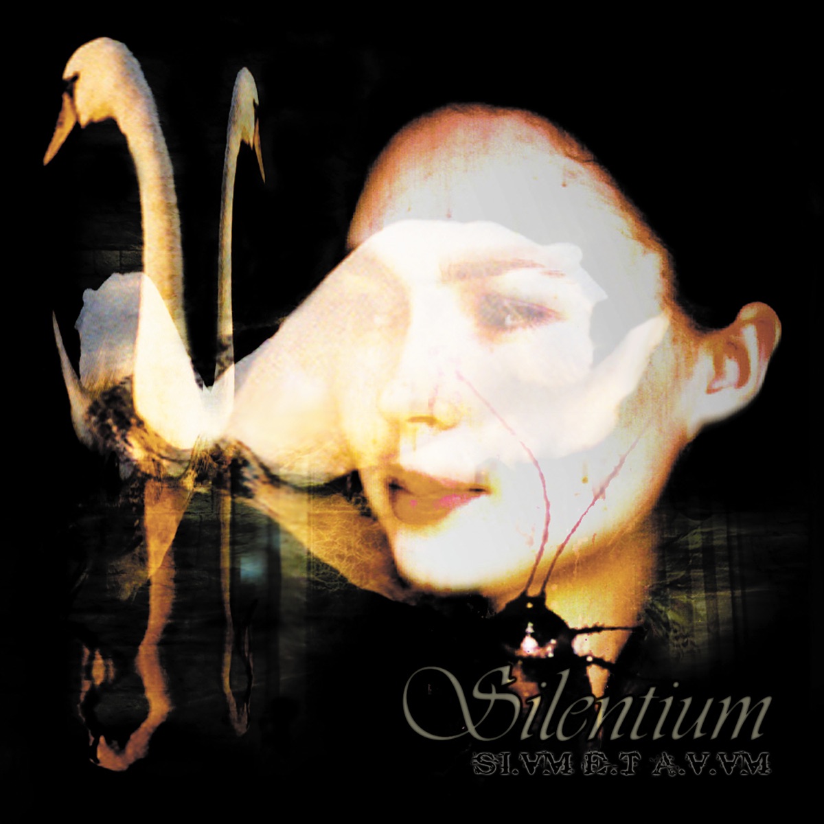 Das Artwork von "Silentium - SI.VM.E.T.A.V.VM"