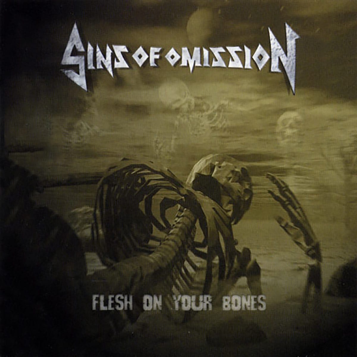 Das Artwork von "Sins Of Omission - Flesh On Your Bones"