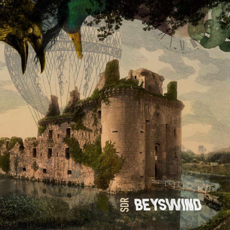Sir Donkey's Revenge - Beyswind Cover