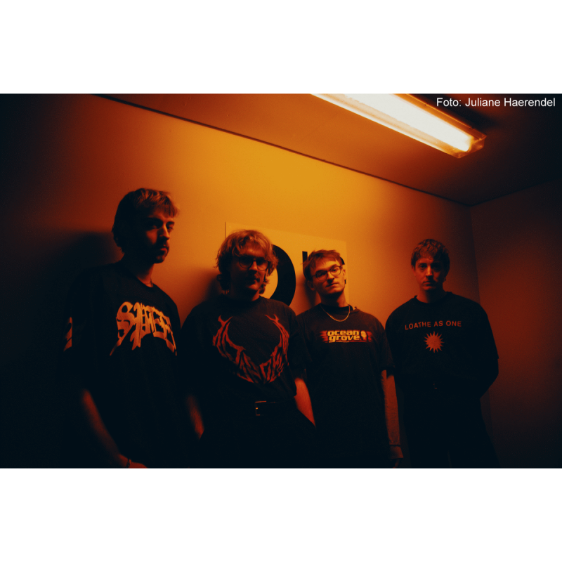 Stray Ends Band 2026