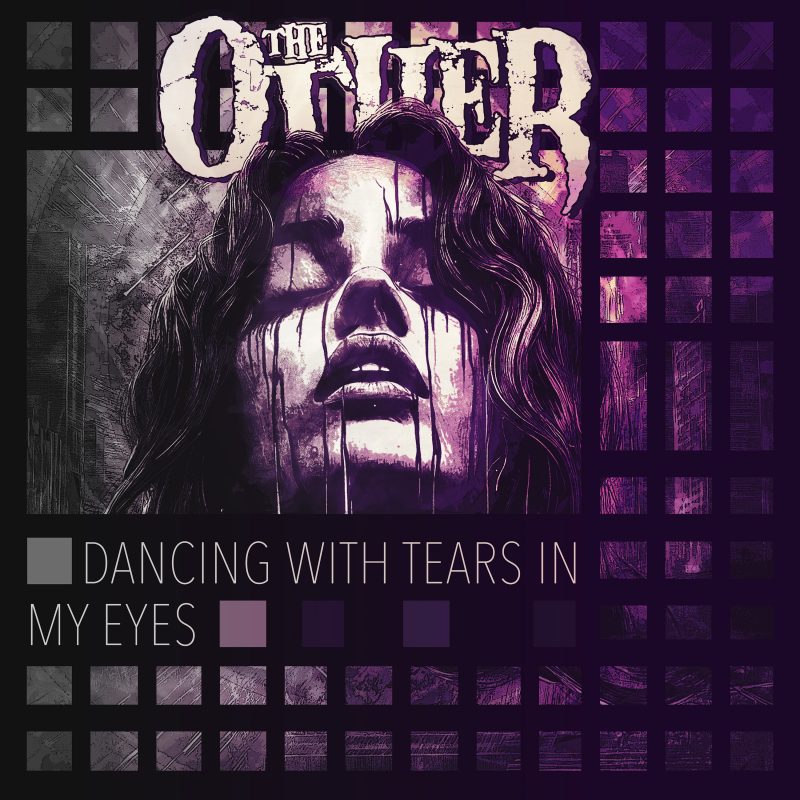 The Other - Dancing With Tears In My Eyes Cover
