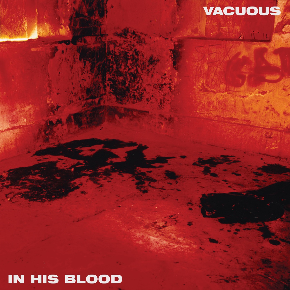 Vacuous In His Blood - Cover