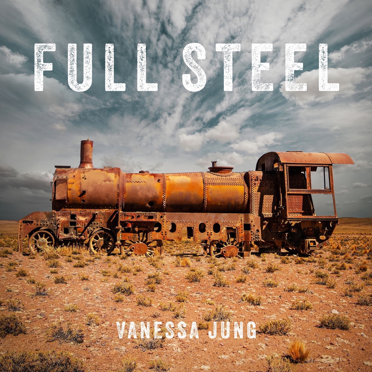 Vanessa Jung - Full Steel Cover