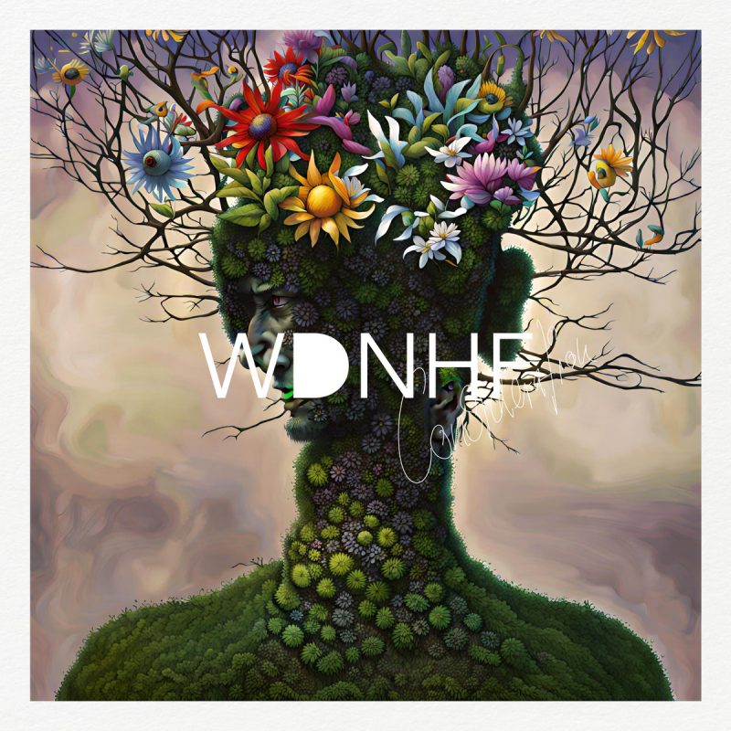 WDNHF - Consideration Cover