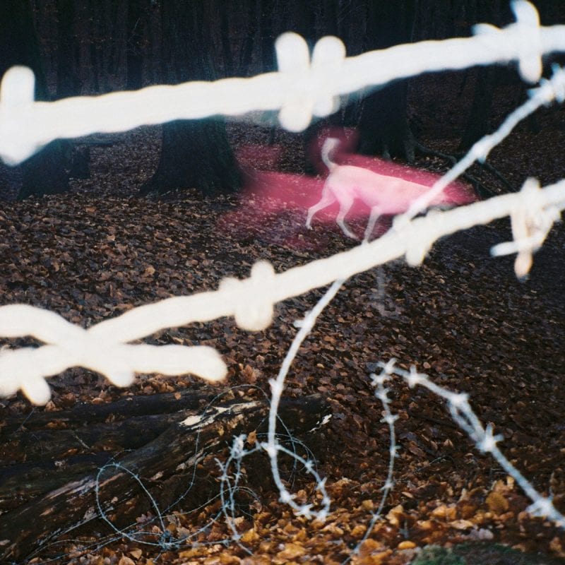 hippie-trim-what-consumes-album-cover