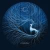 CAIRISS: Wilderness