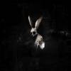 GHOSTKID: Follow The White Rabbit