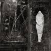 WOLVES IN THE THRONE ROOM: Estuary