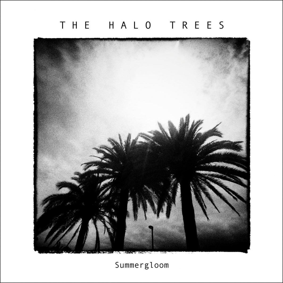 the-halo-tree-summergloom-album-cover