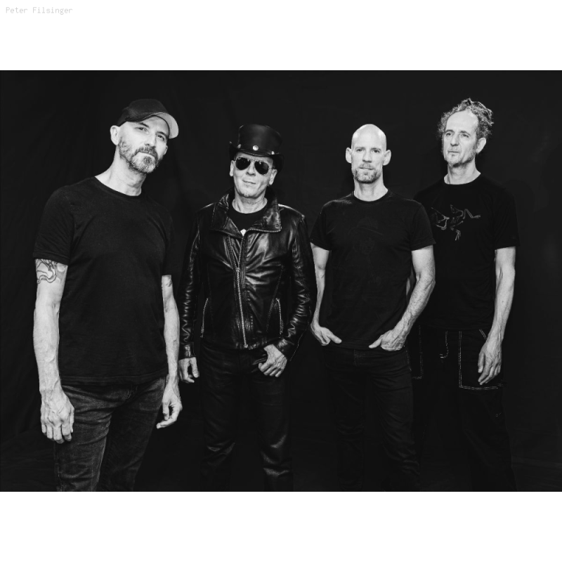 The Temper Tree Band 2026