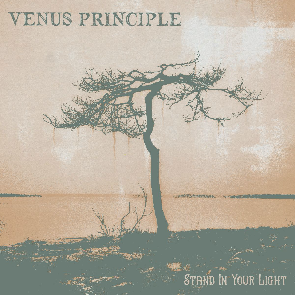 venus-principle-stand-in-your-light-album-cover.png